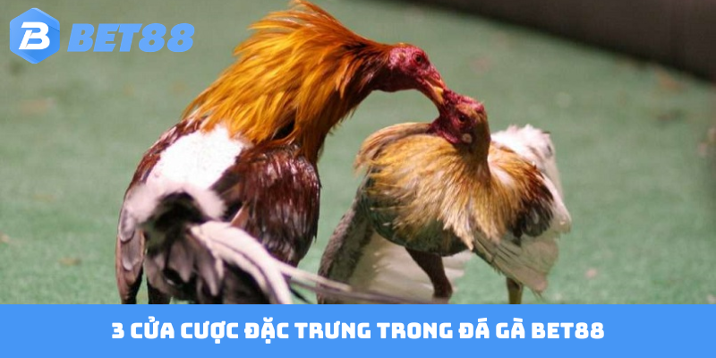 3 cửa cược đặc trưng trong đá gà Bet88