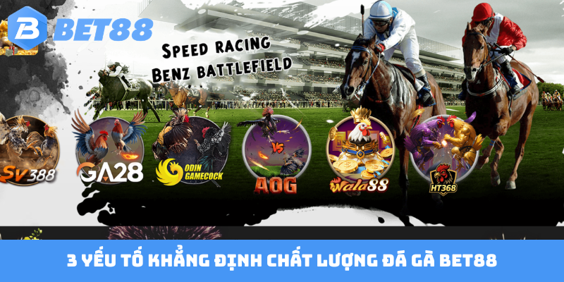 3 yếu tố khẳng định chất lượng đá gà Bet88