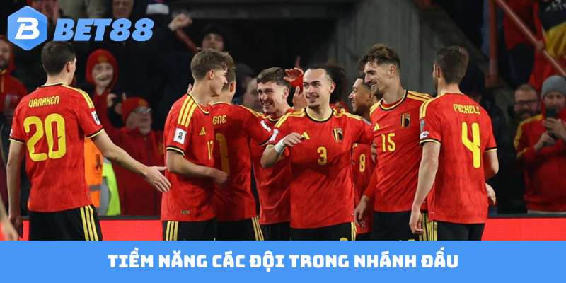 Tiềm năng các đội trong nhánh đấu